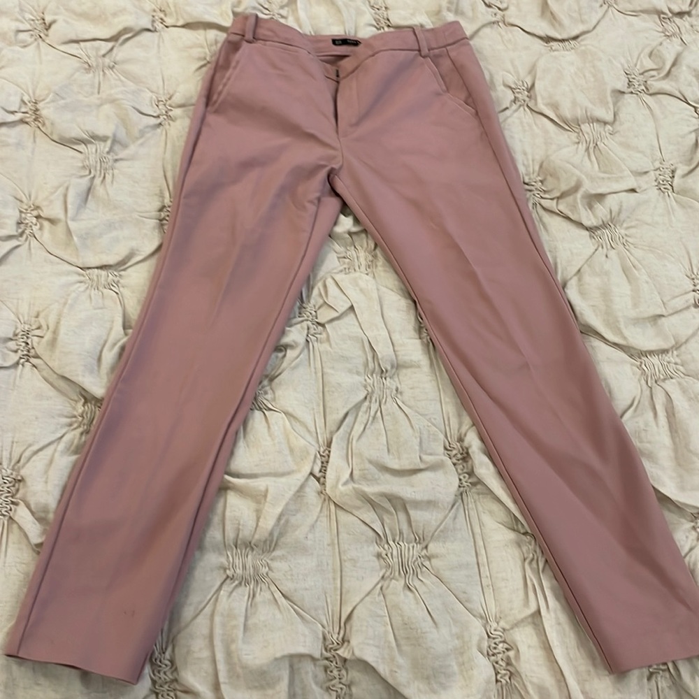 Zara Straight Leg Dusty Rose Pants Size 36 (US 4)